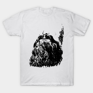 Garibaldi Beard T-Shirt